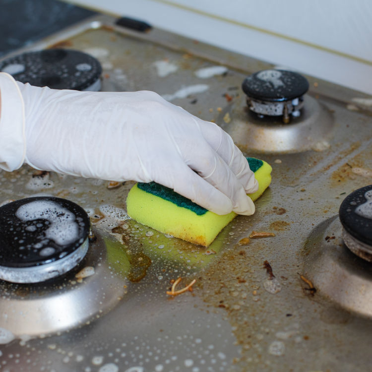 Cleaning & Organization